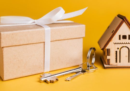 Idei de cadouri pentru casă nouă: 5 sugestii originale