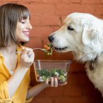 Nutriția canină: Ghid complet în funcție de vârstă